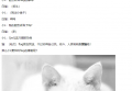 [WP] Hackergame 2019 白与夜
